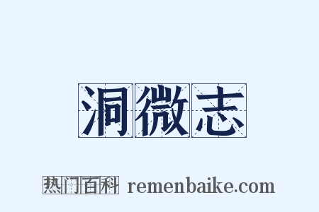 洞微志是什么意思的图片